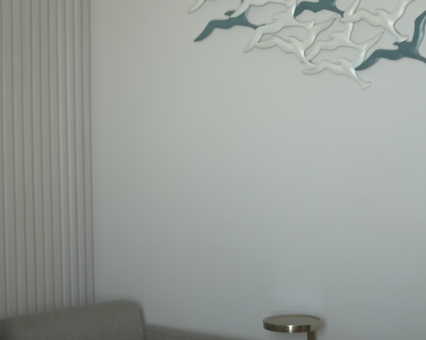 suite-recovery-gaviota-3